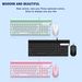 L3/L4 Wired Silent Mechanical Keyboard & Mouse Combo – Punk-Style ABS Keycaps, Waterproof Design, 102-Key Layout With Blue Switches_voghion.com