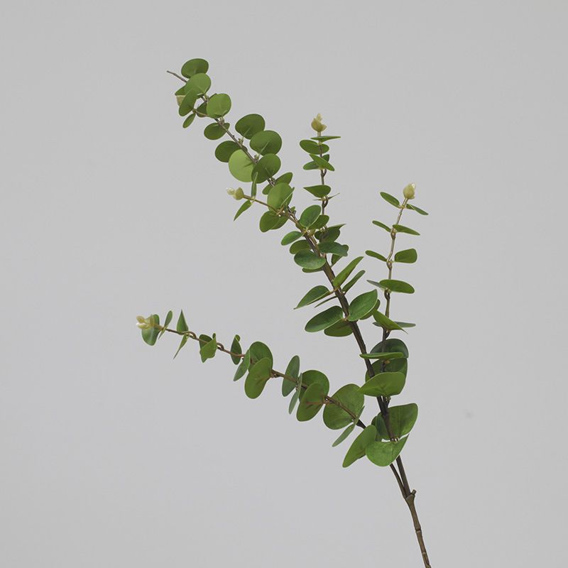 Nordic simulated eucalyptus leaves long branches 3D eucalyptus fake plant leaves landscaping green plants simulated leaves money leaves_voghion.com