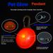 Glowing Collar For Dogs And Cats_voghion.com