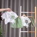 Set di due pezzi di pantaloncini casual per bambini a maniche corte con girocollo e stampa completa per ragazzi estivi da 0 a 5 anni_voghion.com