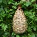 Hadmade Wove Hummigbird House Creative Bird Nest Hibiscus Grass Artificial Birdhouse Gardeig Hagig_voghion.com