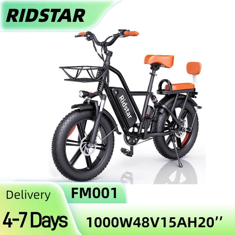 RIDSTAR FM001 20" elektrokolo s motorem 1000 W, 2místné, s tlustými pneumatikami, 48 V, 15 Ah, baterie_voghion.com