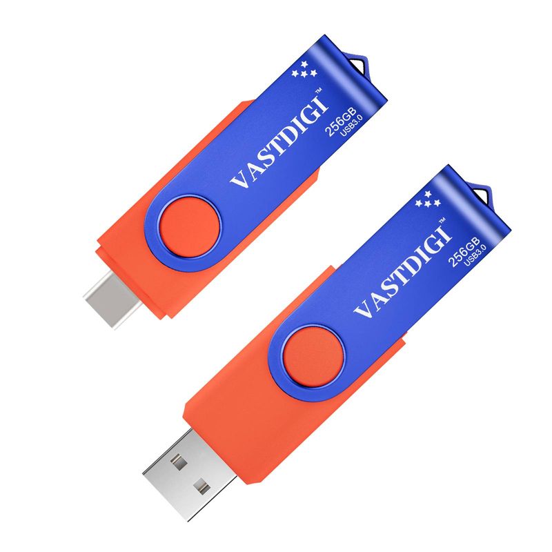 VASTDIG USB C Flash Drive 256GB High Speed USB 3.0 Type-C Dual Flash Drive Thumb Drive Memory Stick_voghion.com