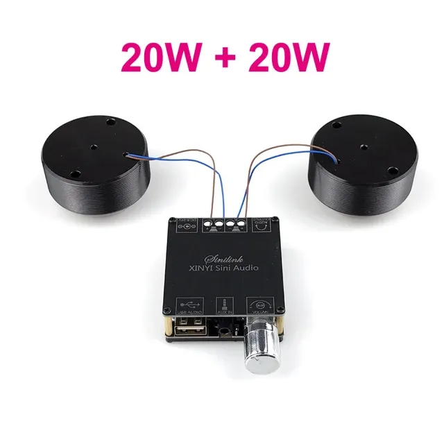 2*25W Audio Tragbare Resonanz Vibration Lautsprecher Bluetooth-Kompatibel DIY Stereo Klasse D Power Verstärker Subwoofer HiFi_voghion.com
