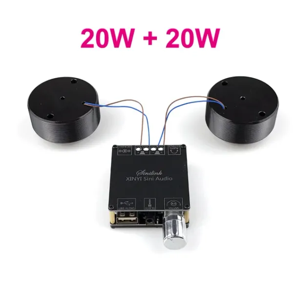 2*25W Audio Tragbare Resonanz Vibration Lautsprecher Bluetooth-Kompatibel DIY Stereo Klasse D Power Verstärker Subwoofer HiFi_voghion.com