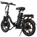 ESKUTE D100 Folding Electric Bike 16Inch With Detachable 36V 13Ah Battery_voghion.com