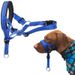 Adjustable Breathable Dog Muzzle Nylon_voghion.com