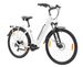 TTGOEBIKE Vélo électrique de montagne à gros pneus de 28 pouces, 36 V, 250 W, moteur central, vélo de trekking/vélo de ville à assistance électrique pour hommes et femmes_voghion.com