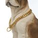 Collier en or 10 mm Collier cubain K Chaîne P en acier inoxydable robuste pour chiens de taille moyenne et grande_voghion.com
