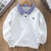 Boys' Long Sleeve Polo Shirt - Classic Cotton Blend With Collar & Cartoon Embroidery - Casual Fall & Spring Top For Kids (8+ Years, 110-170cm)_voghion.com