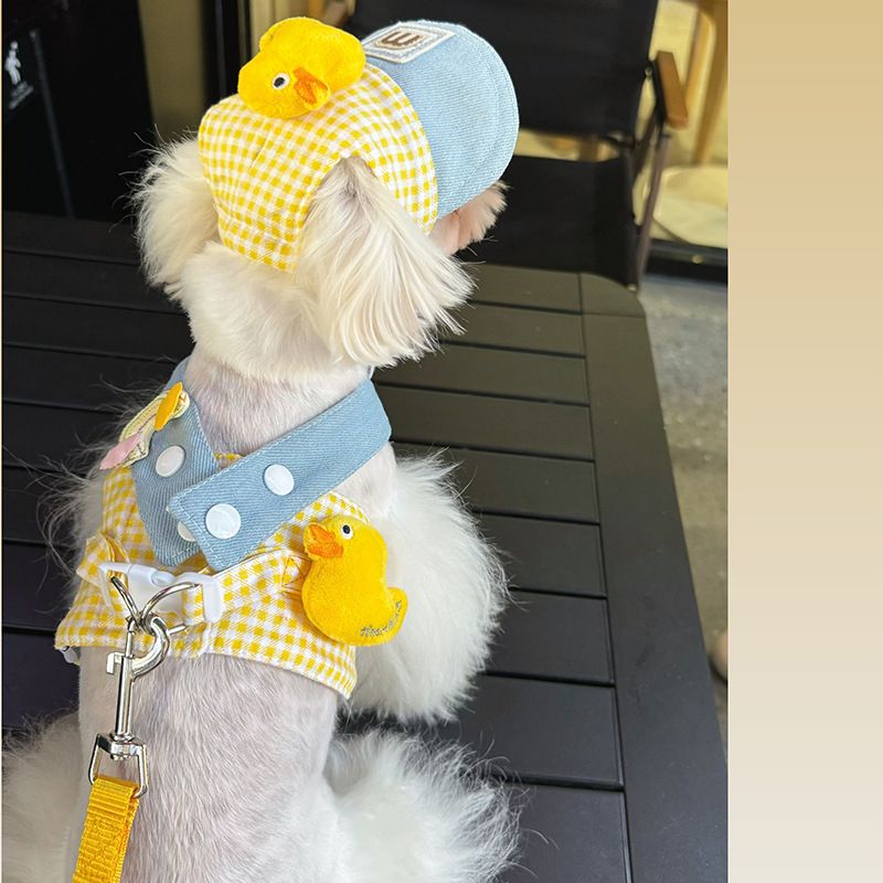 Heartwarming Spring Summer Pet Chest Harness Cat Dog Clothes Outing Duck Leash Set_voghion.com