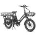Fafrees FF20 CUV Bici elettrica da carico 250 W con doppia batteria da 48 V 12 Ah, 20 pollici_voghion.com