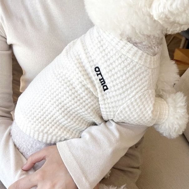 Weiche Herbstpullover für kleine und mittelgroße Hunde, warme Welpenkleidung, Chihuahua-Kapuzenpullover, Hundebekleidungszubehör von PawParty Store_voghion.com