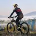 SAMEBIKE Faltbares Elektrofahrrad für Erwachsene, 26-Zoll-Reifen-Elektrofahrrad, 48 V 12,5 Ah-Akku, 750 W-Motor, vollgefedertes Mountain-E-Bike_voghion.com