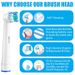 4 Pcs Compatible With Oral B Electric Toothbrush Replacement Toothbrush Head, Professional Brush Heads Refills For 1000 1500 3000 7000 7500 8000 9000_voghion.com