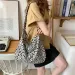 Japanese and Korean Ins modern small leopard print messenger single Shoder canvas bag for Fem students Y241026_voghion.com