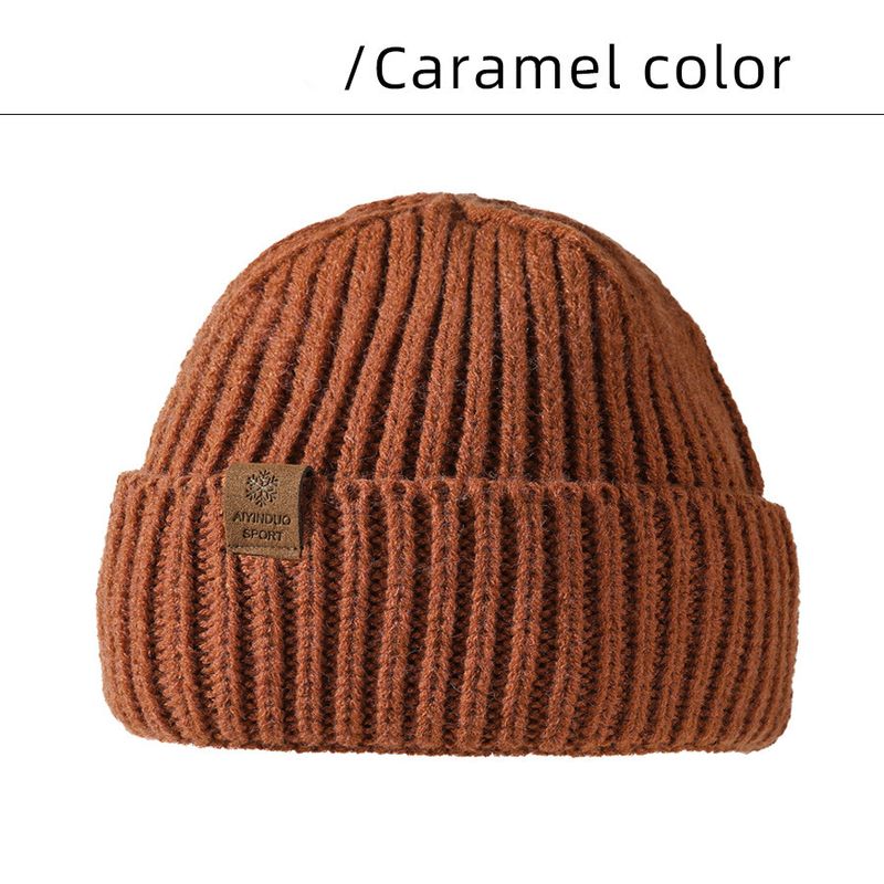 Winter New Thickened Knitted Hat Men's Korean Edition Snowflake Label Thick Needle Plush Ear Protection Woolen Hat High Elastic Warmth Hat_voghion.com