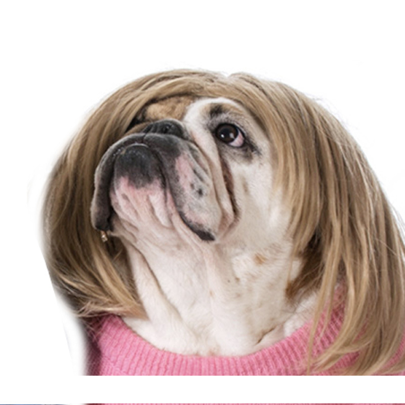 Pet wig Dog wig Pet supplies Halloween Pet accessories Curly Straight hair cat wig_voghion.com