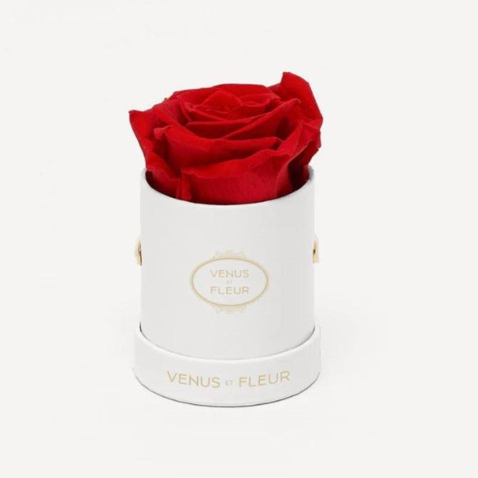 Regalos navideños: Caja de regalo con flores preservadas, cubo de rosas, flores naturales, Día de la Madre, Día del Maestro._voghion.com