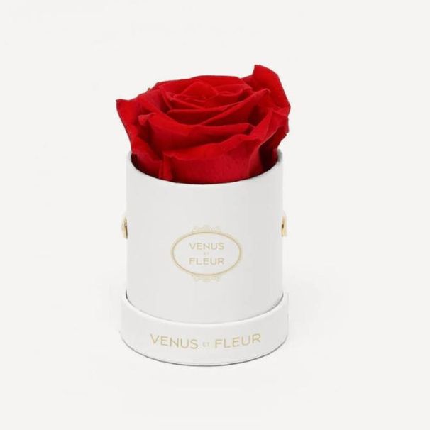 Regalos navideños: Caja de regalo con flores preservadas, cubo de rosas, flores naturales, Día de la Madre, Día del Maestro._voghion.com