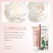 BIOAOUA Camellia Antioxidant Rejuvenating Cleanser 80g Detergente viso detergente idratante profondo_voghion.com