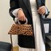 New Original Versatile Outgoing High Capacity Advanced Makeup Bag with High Beauty Value Portable Leopard Pattern Shoulder Bag_voghion.com