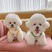 Herbst Neue Haustier Bichon Kleidung Teddy Schnauzer Pommerschen Pudel Kleine Hund De Rong Baumwolle Weste_voghion.com