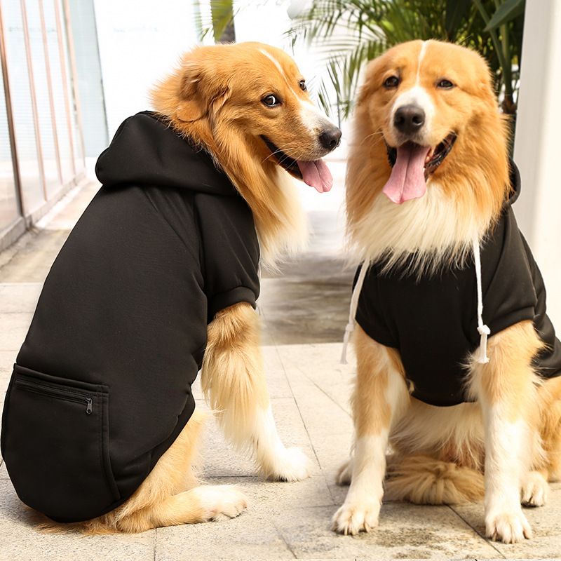 Outono Inverno Fleece Gold Zipper Pocket Sweater para cães grandes, médios e pequenos, gatos, roupas, suprimentos para animais de estimação de briga_voghion.com
