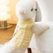 Kan leiden tot de hond kleding herfst teddy Bichon Pomeriaanse kat kleine hond katoen gewatteerde jas met wol om warm te blijven en haaruitval te voorkomen_voghion.com