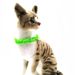 U shaped candy colored pet necklace cute cat princess style necklace teddy dog collar_voghion.com