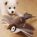 New Interactive Toys Catnip, Electric Pat Bird (with Catnip), Dogs, Cats, Squeaky Plush Toy For Pets, USB Rechargeable By PawParty Store_voghion.com