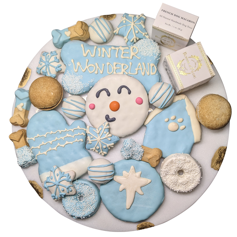 Winter Themed Dog Treats Gift Box_voghion.com