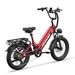 Tifgalop XC20 Electric Bike For Adults, 70NM 250W Motor, 48V 20AH Battery_voghion.com