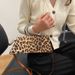 New Original Versatile Outgoing High Capacity Advanced Makeup Bag with High Beauty Value Portable Leopard Pattern Shoulder Bag_voghion.com