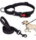 Pet Supplies Nylon Adjustable Reflective Collar Set Dog Leash_voghion.com