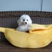 Supplies Creative Dog Banana Boat Shape Cat Winter Warm Cartoon Pet House_voghion.com