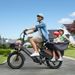 ENGWE LE20 Step-Thru Cargo Ebike 250W Senzor de cuplu Mid-drive Bicicletă electrică 20'' cu baterie dublă 48V 38.4Ah _voghion.com