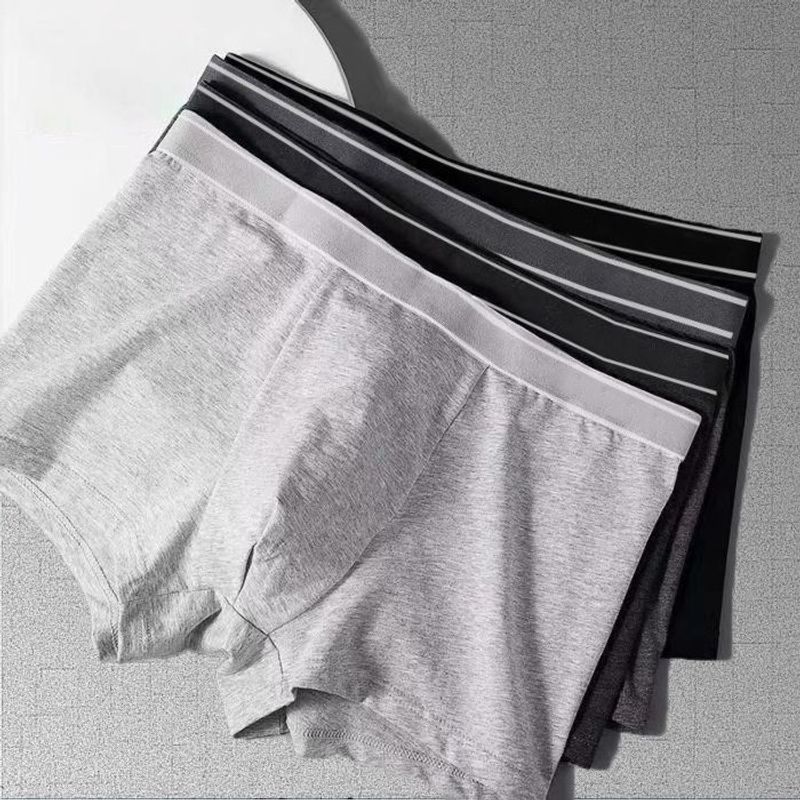 4PCS Boxershorts Grote Maat Naadloze Katoenen Bestand Heren Boxershorts Zomer Dunne Sectie Maat L-3XL_voghion.com