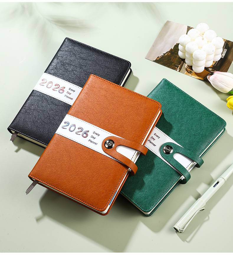 2026 Dagplanner - 365 dagen ongedateerd notitieboek voor tijdmanagement, productiviteit en doelregistratie, PU-leren omslag, A5-formaat_voghion.com