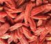 3 Pound (1362 Grams) High Grade Goji Berries From Ningxia_voghion.com