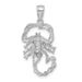 14K White Gold Solid Polished Open-Backed Scorpion Pendant_voghion.com