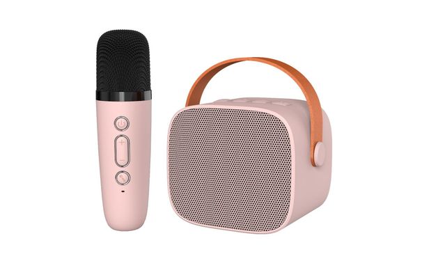 Mini Bluetooth Speaker With Karaoke Microphone - Portable Desktop Speaker For Kids & Family Singing (Compact & Wireless)_voghion.com