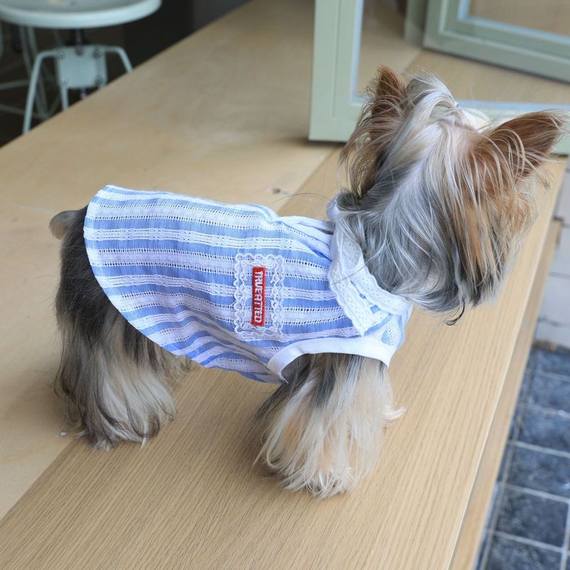 Cotton Soft Blue White Striped Lace Collar Bow Tie Shirt For Cats, Bichons, And Yorkshire Terriers Pet Clothing_voghion.com