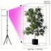 Grow Lights For Indoor Plants, Full Spectrum Standing LED Plant Grow Light With Auto Timer & Adjustable Tripod Stand, Plant Lights For Plants Growing_voghion.com