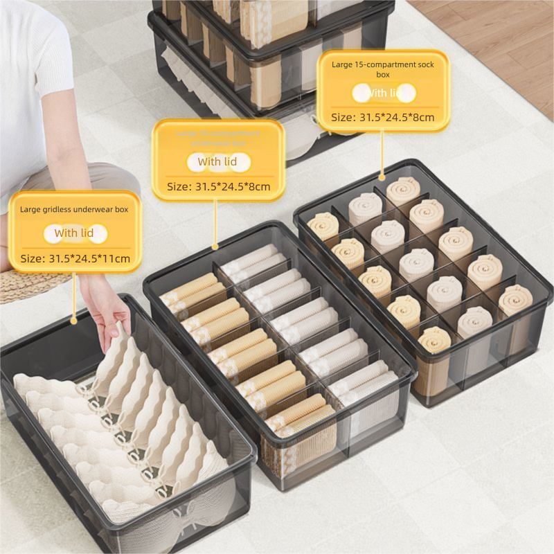 Lidded Underwear Organizer, Thickened Multi-Compartment Box For Socks & Bras, 3-Piece Set With Dividers_voghion.com