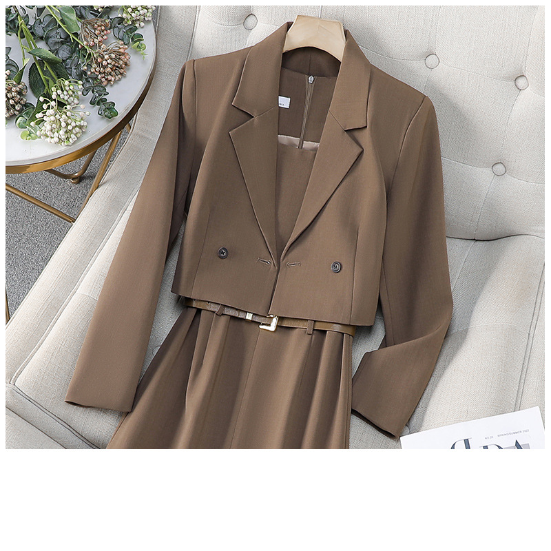 Damenbekleidung Braune kurze Anzugjacke Damen Frühling und Herbst Neue High-End-Weste Rock Anzugrock_voghion.com
