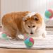 Durable Chewable Rubber Supplies Dog Toy Self-Entertainment Pet Ball_voghion.com
