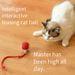 Cat Toy Cat Smart Teasing Cat Ball Self-pleasure To Relieve Boredom Kitten Automatic Dodging Pet Electric Protruding Rolling Stick Artifact_voghion.com
