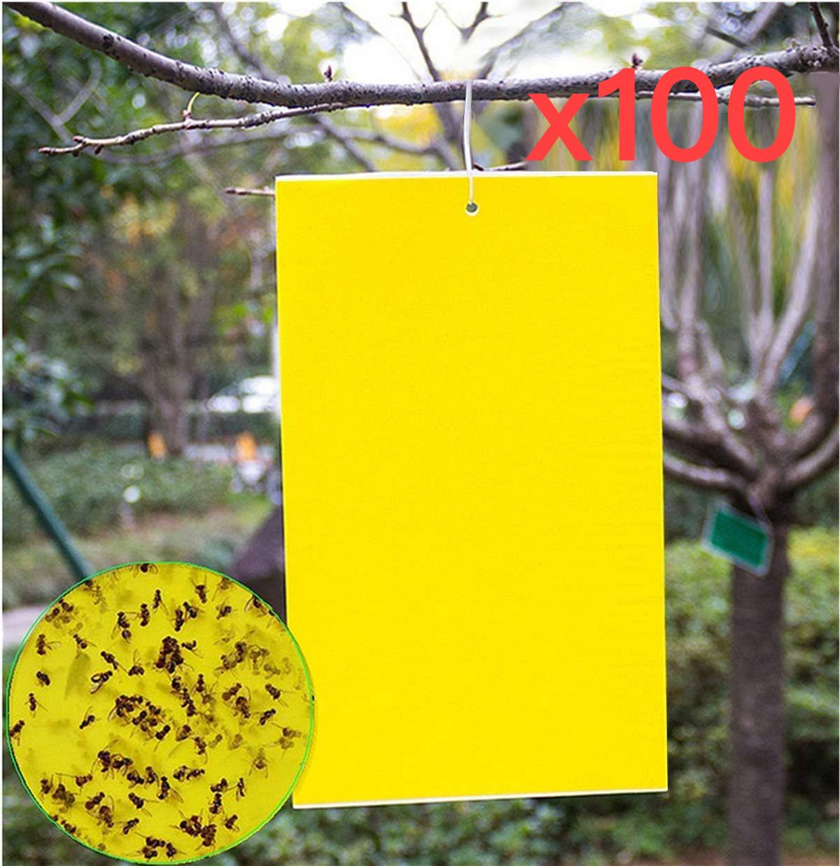 100 tk Kleepuv putukalaud Kahepoolne püünislaud Kleepuv putukalaud Trips Putukalõksu kleebised Aed Põllumajandus Roheline taim pottides_voghion.com