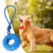 Guangying Dog Training Toy Built-in Sounder Cartoon Style Scratch-resistant Pet Puppy Chew Squeaker Sound Toys For Reassurance_voghion.com